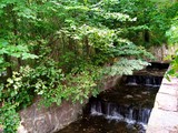 Summer landscape, waterfall in the park
