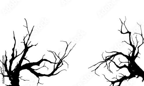 Two branches tree vector illustration