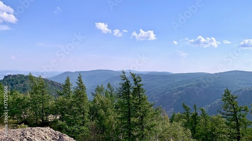 A Panoramic view of the mountains and the forest from the top of the mountain with a stump in the foreground   A tree with a mountain in the background