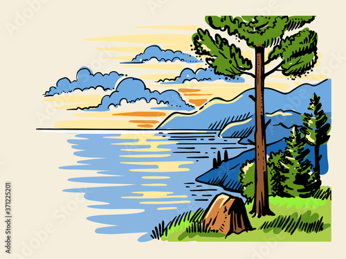 sketch landscape a pine tree stands on ground