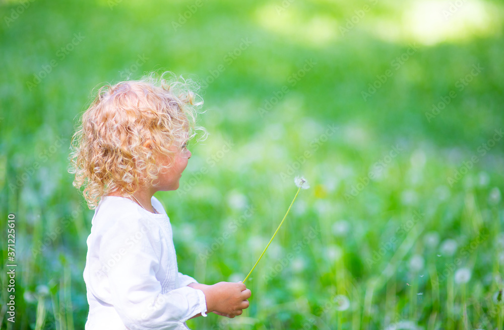 Little girl with white hair in the summer in the park holding a white dandelion in her hand Little girl with white hair in the summer in the park holding a white dandelion in her hand