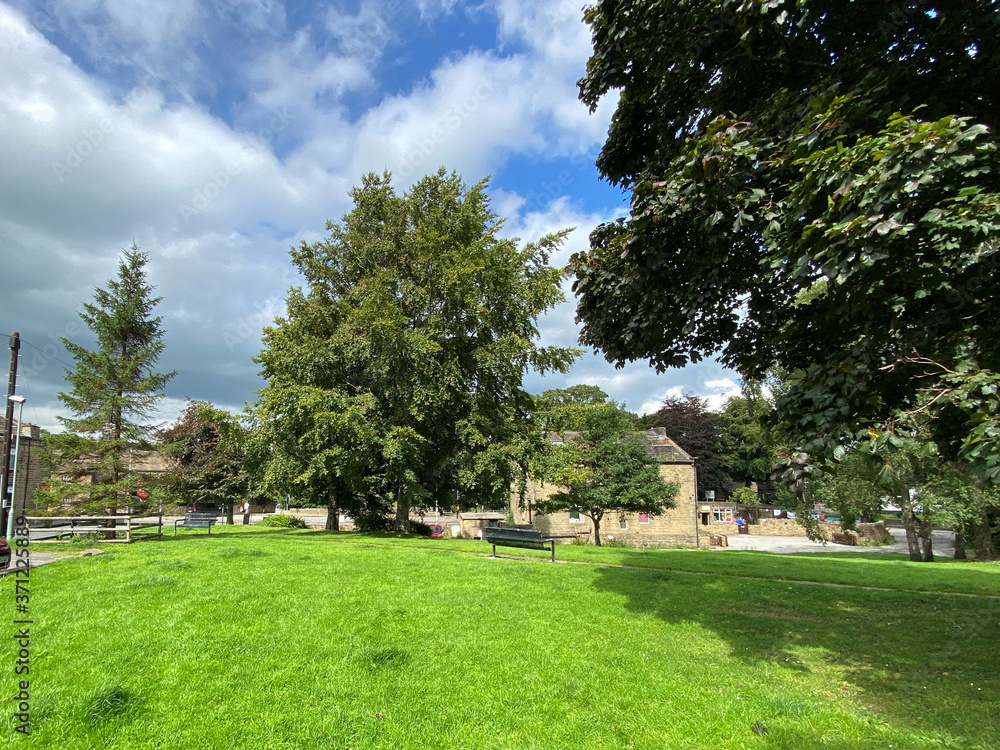 Steeton village green, with old trees, a grass lawn, houses and a bench in, Steeton, Keighley, UK