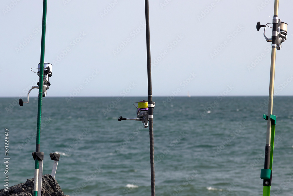 Grupo de cañas de pescar colocadas en la pica con el sedal y el anzuelo lanzado al mar.