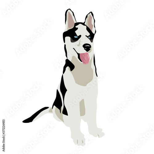 Siberian husky puppy. Portrait. Vector illustration of a pet in a simple flat style. Isolated on a white background. Dog icon or logo element