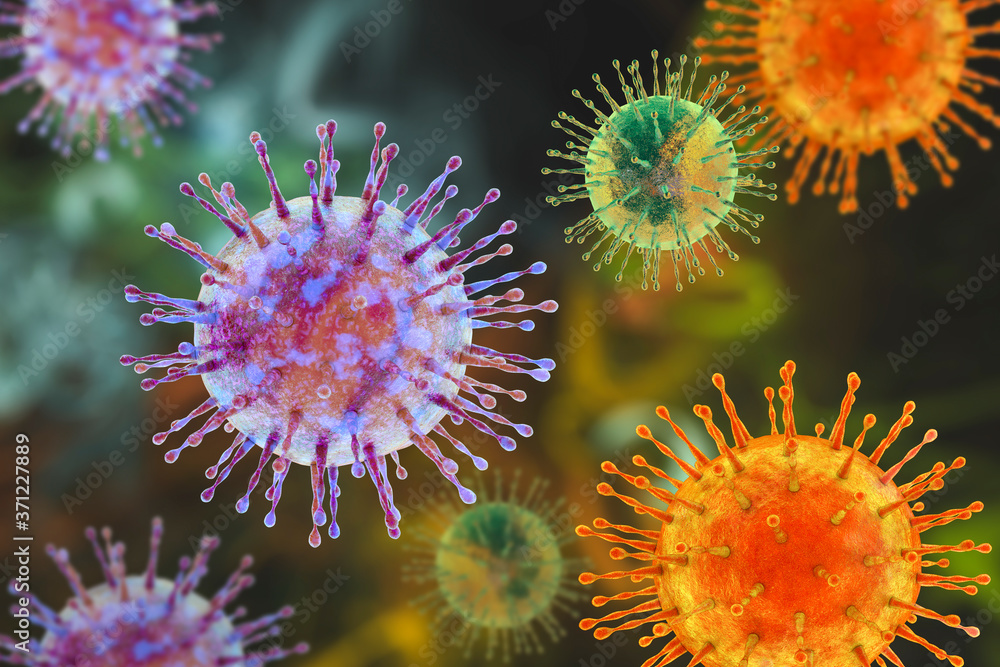 Human pathogenic viruses Human pathogenic viruses