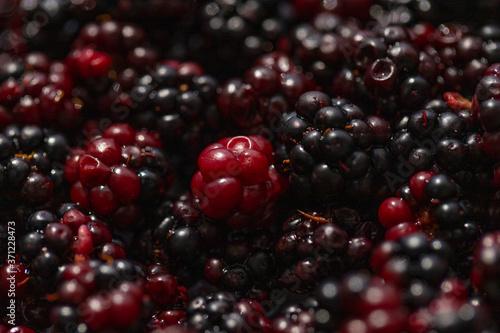 summer juicy blackberries or blueberries close up for cooking delicious and healthy food