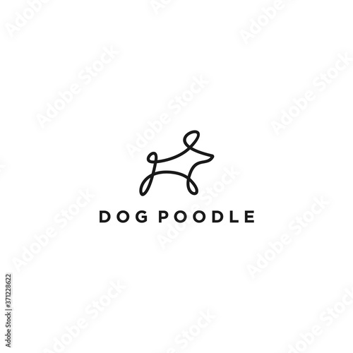 poodle dog logo. pet icon