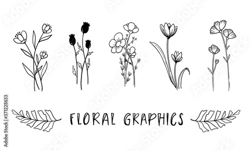 Hand drawn vector flowers branches and leaves. Botanical sketch collection. Decorative elements for design.
