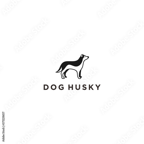 husky dog logo. pet icon