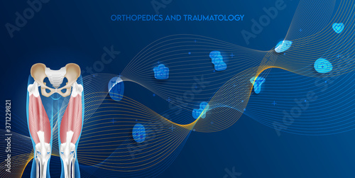 Technology for treatment of lower musculoskeletal. Abstract traumatology and orthopedics. Medical science in the hospital for body joints.