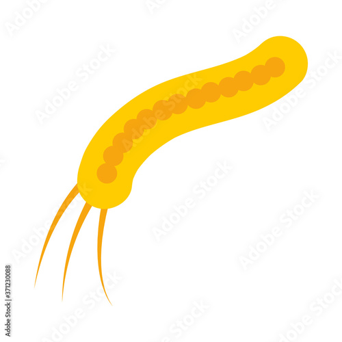 ebola filovirus icon, flat style