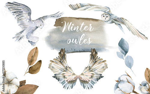 Hand painted watercolor set with winter bird -  white and blue owles, wings and flowers of cotton. Illustration isolated on white