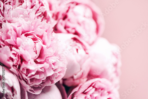 Fototapeta Naklejka Na Ścianę i Meble -  Pink peony flower on pastel background. Copy space. Floral composition. Wedding, birthday, anniversary bouquet. Woman day, Mother's day. Macro of peonies flowers