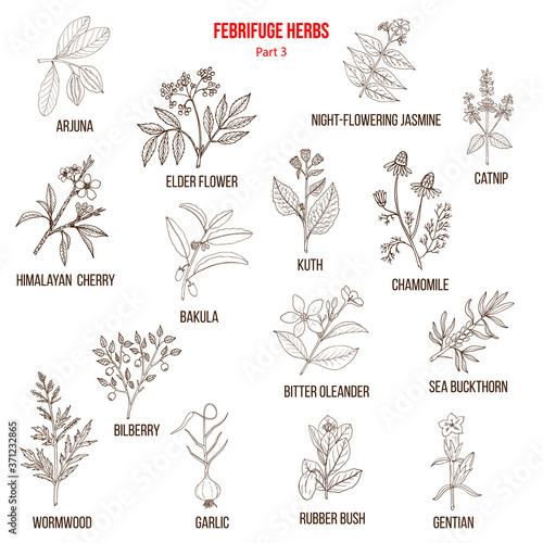 Febrifuge herbs collection. Part 3