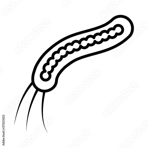 ebola filovirus icon, line style