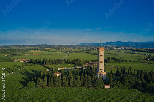 Tower of San Martino della Battaglia, Italy. Vineyard plantation in the background mountains, blue sky