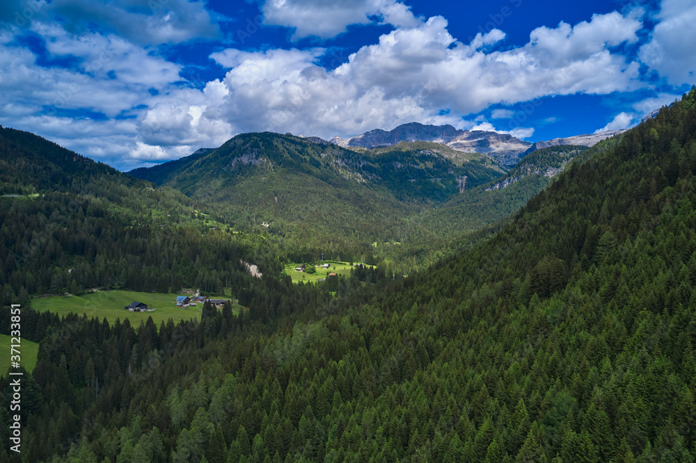 Obraz premium Alpine mountains. Aerial view. Green tree forest background.Beautiful bird eye view on fresh pines in the morning sunlight, Europe, Italy.