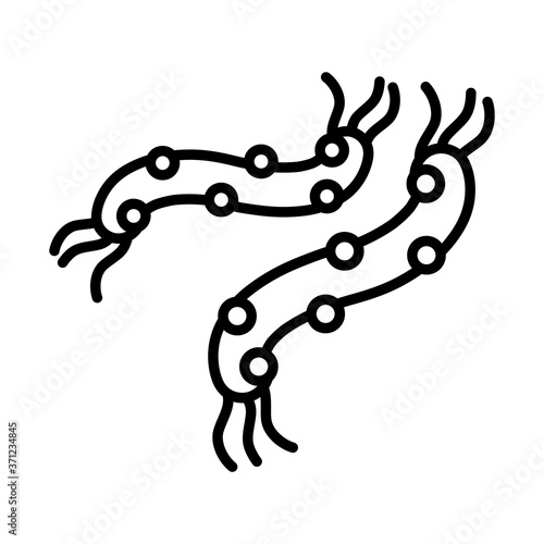 espirilos bacteria icon, line style