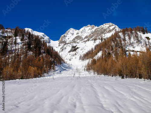 Wallpaper Mural snowy winter panorama of the valley. Torontodigital.ca