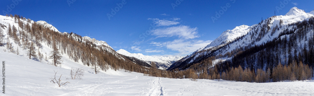 snowy winter panorama of the valley.