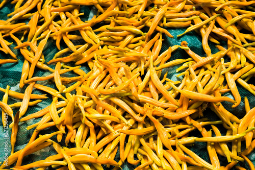 Drying daylily on the ground in sixty stone mountain of hualien, Taiwan photo