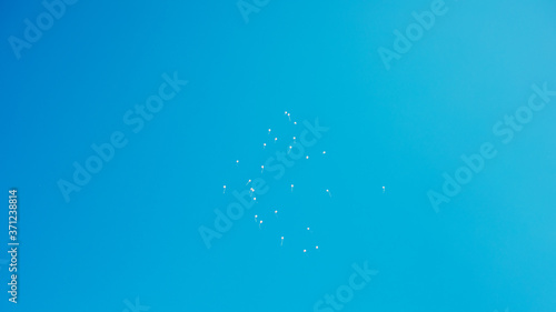 Balloons flying in the blue sky