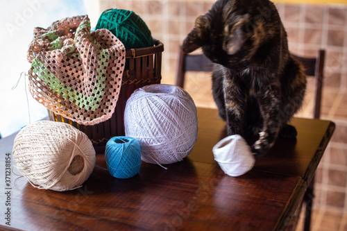 Gato casco de tartaruga, derrubando linha e um cesto com trabalhos de crochê sobre a mesa de madeira . photo