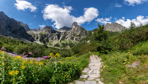 Fototapeta Naklejka Na Ścianę i Meble -  Beautiful summer panorama of mountains range