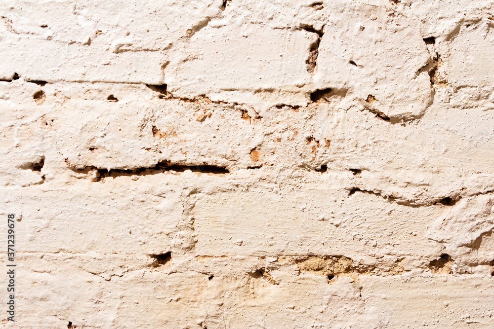 Fototapeta premium The texture of a brick wall painted with white paint.