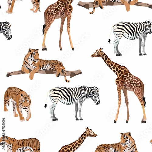 Exotic animal: tiger, zebra, giraffe pattern vintage background illustration seamless pattern. Trendy composition beach wallpaper. White background. © Iuliia