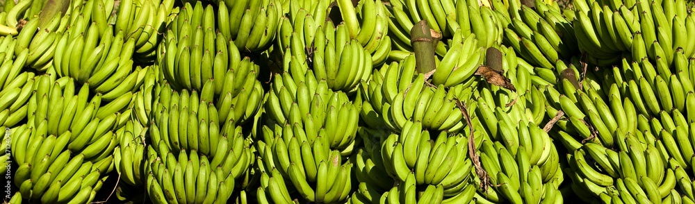 Bananas at Market, Atalaya Village in Peru