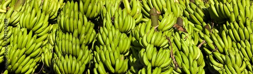 Bananas at Market, Atalaya Village in Peru