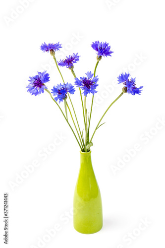 Bouquet of blue cornflowers isolated on white background. Space for text
