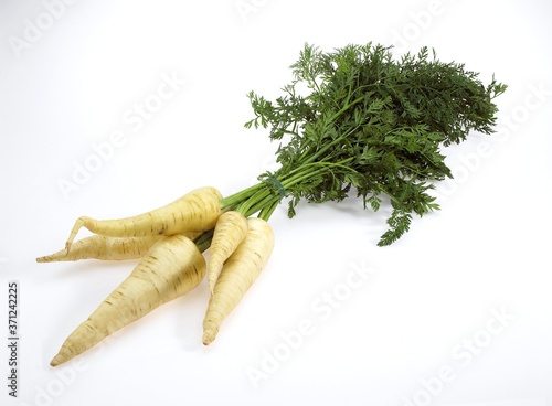 Leinwand Poster White Carrot, daucus carota, Vegetables against White Background