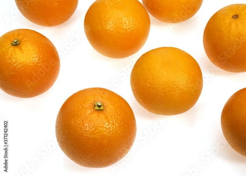 Orange, citrus sinensis, Fruits against White Background