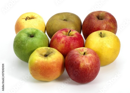 Apples, Calville, Canada, Golden, Granny Smith, Pink Lady, Royal Gala, Starling, malus domestica