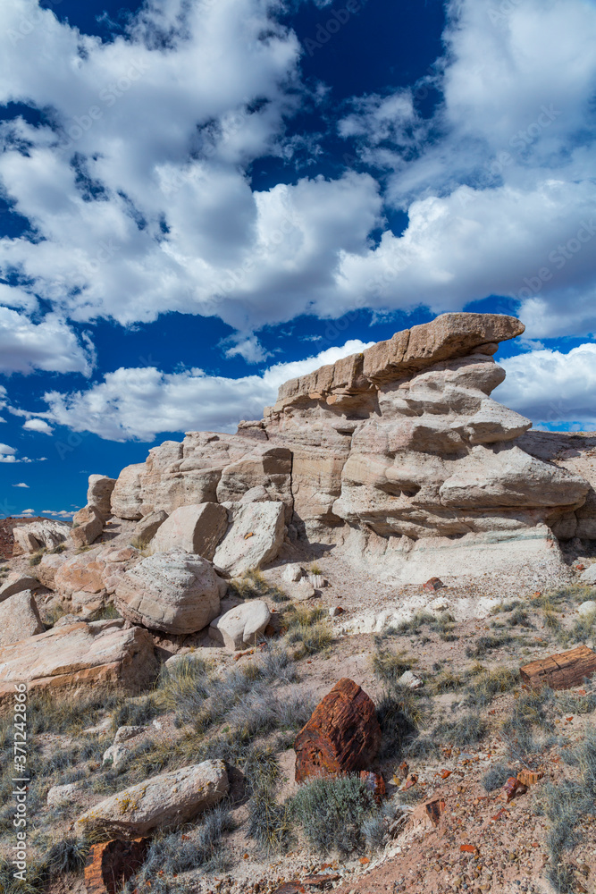 Fototapeta premium Petrified Forest National Park, Arizona, USA, America