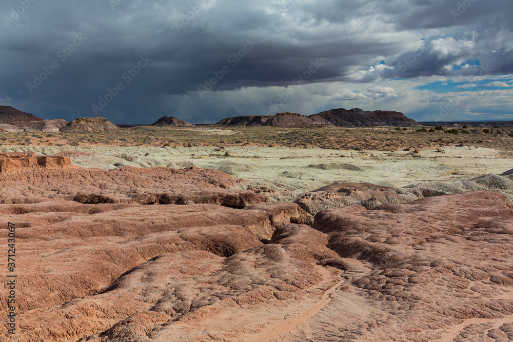 Fototapeta premium Badlands, Petrified Forest National Park, Arizona, USA, America