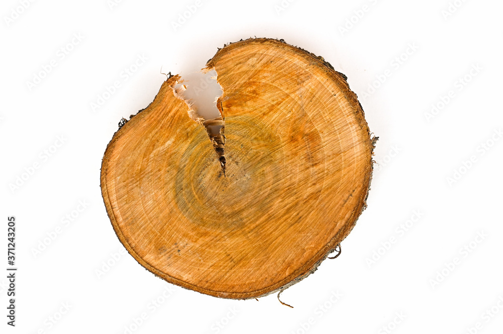 cut of a cracked wood saw cut on an isolated background cut of a cracked wood saw cut on an isolated background