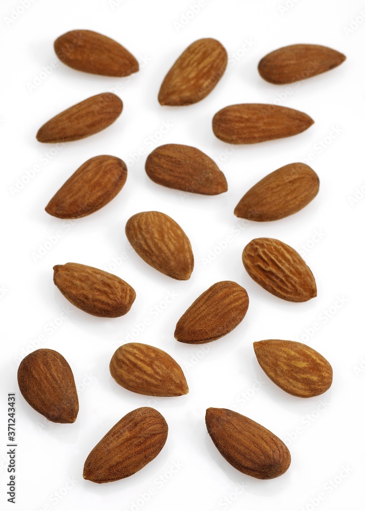 Sweet Almond, prunus dulcis, Dried Fruits against White Background Sweet Almond, prunus dulcis, Dried Fruits against White Background