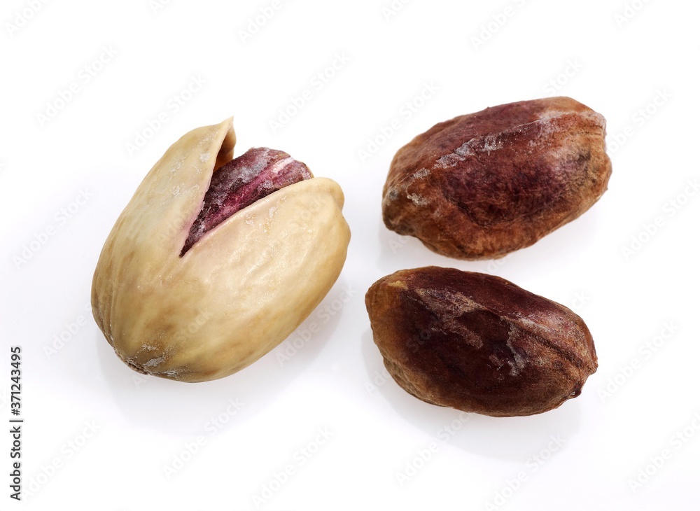 Pistachio Nuts, pistacia vera, Dry Fruits against White Background Pistachio Nuts, pistacia vera, Dry Fruits against White Background