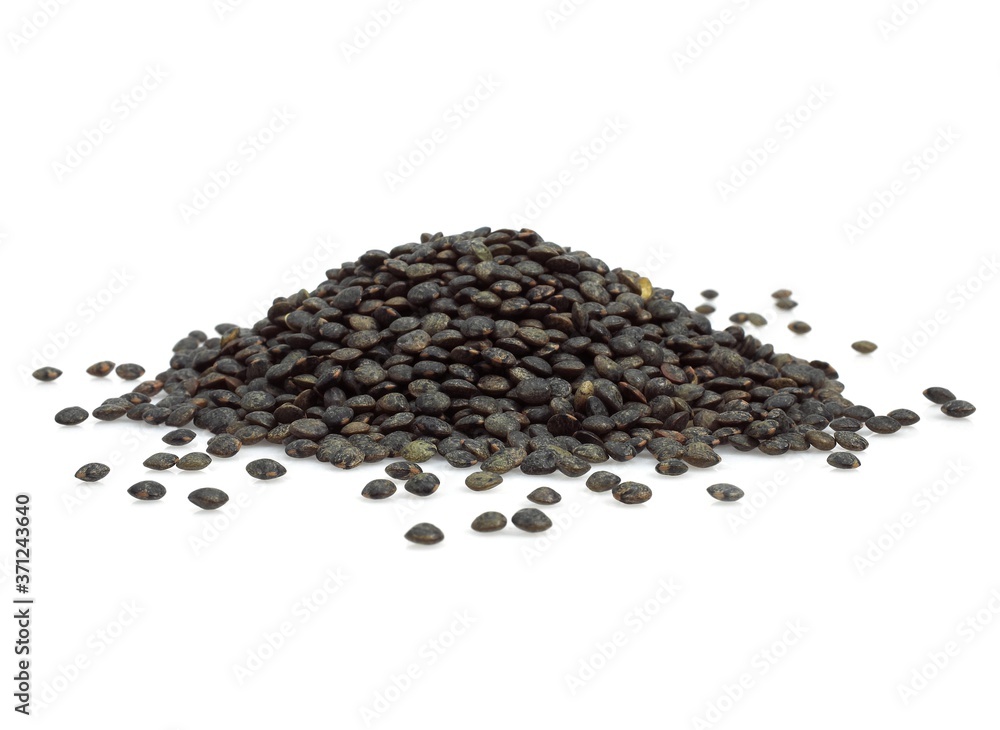 French Green Puy Lentils, lens esculenta, Dry Vegetables against White Background French Green Puy Lentils, lens esculenta, Dry Vegetables against White Background