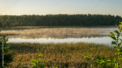 morning landscape with fog on the lake, summer