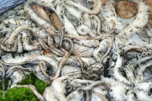 Fresh Squids, coleoidea sp. on Fish Stall © slowmotiongli