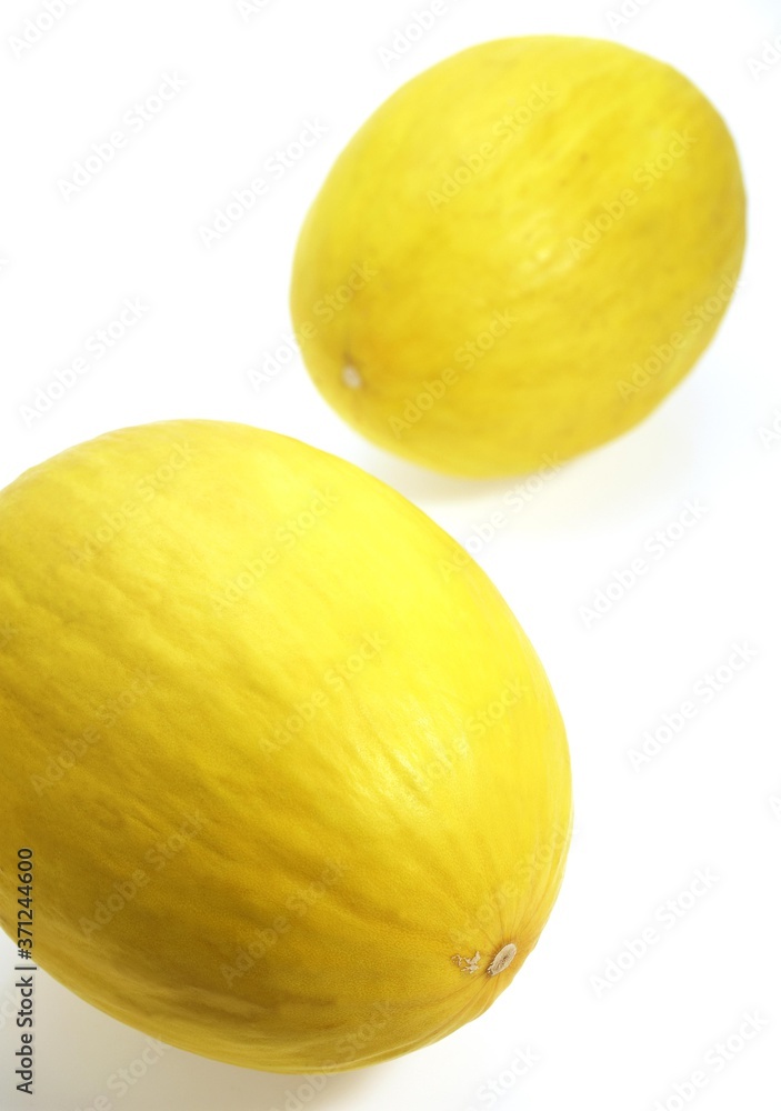 Yellow Spanish Melon, cucumis melo, Fruits against White Background Yellow Spanish Melon, cucumis melo, Fruits against White Background