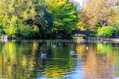 A bright Autumn day watching the ducks in St Stephen's Green Park, Dublin, Ireland