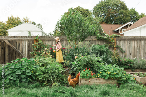 Backyard Gardener photo