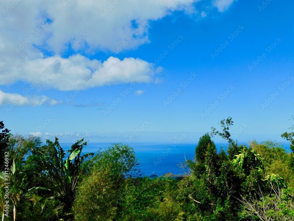 sea view from the rainforest