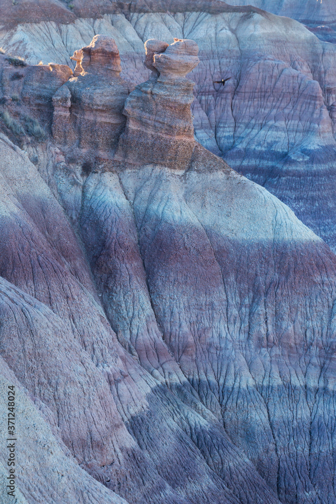 Fototapeta premium Badlands, Petrified Forest National Park, Arizona, USA, America