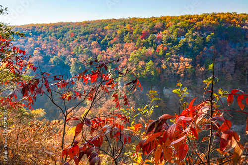 Cloudland Canyon State Park is in northwest Georgia, on the western edge of Lookout Mountain photo